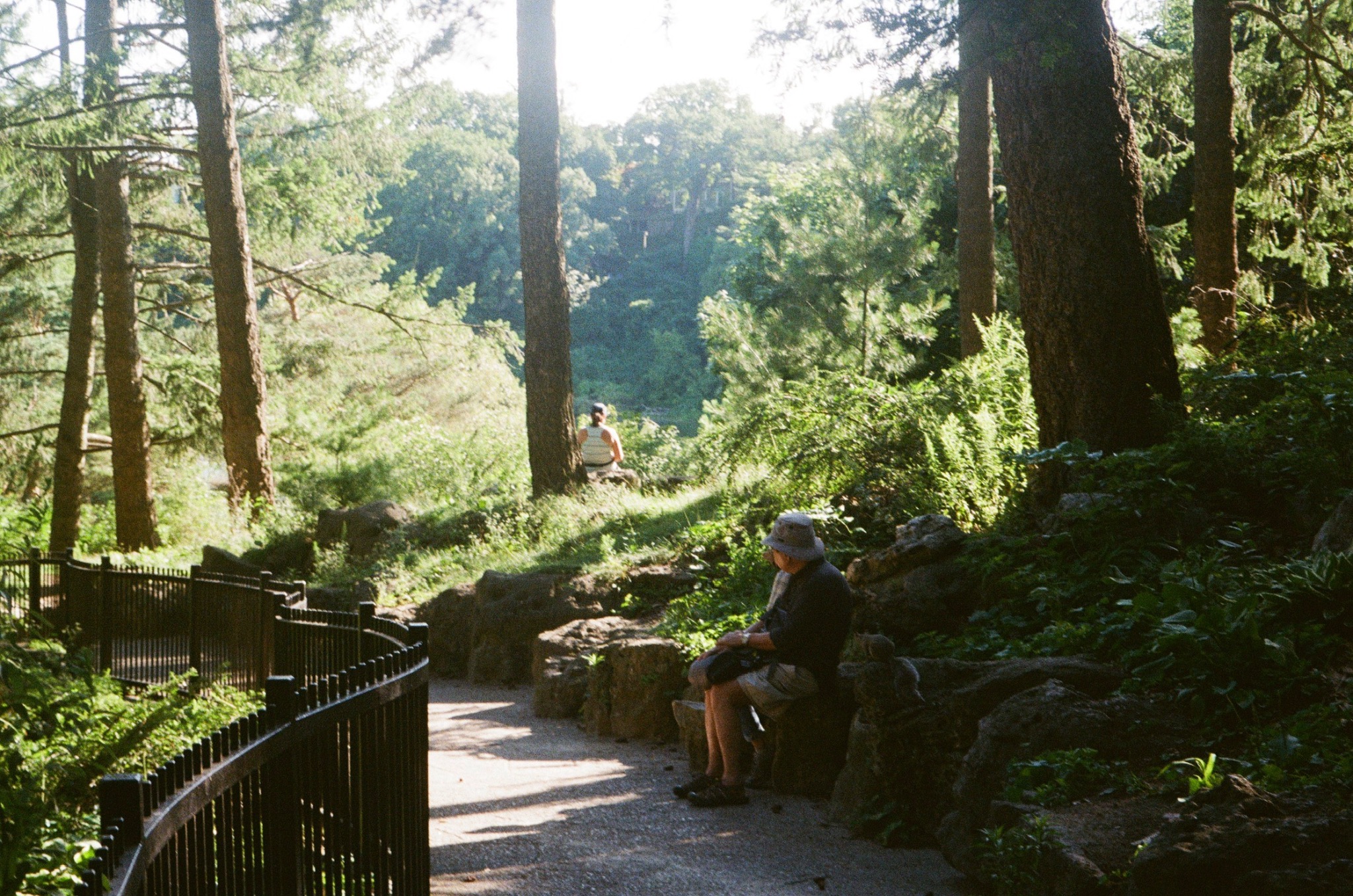 toronto on 35mm film